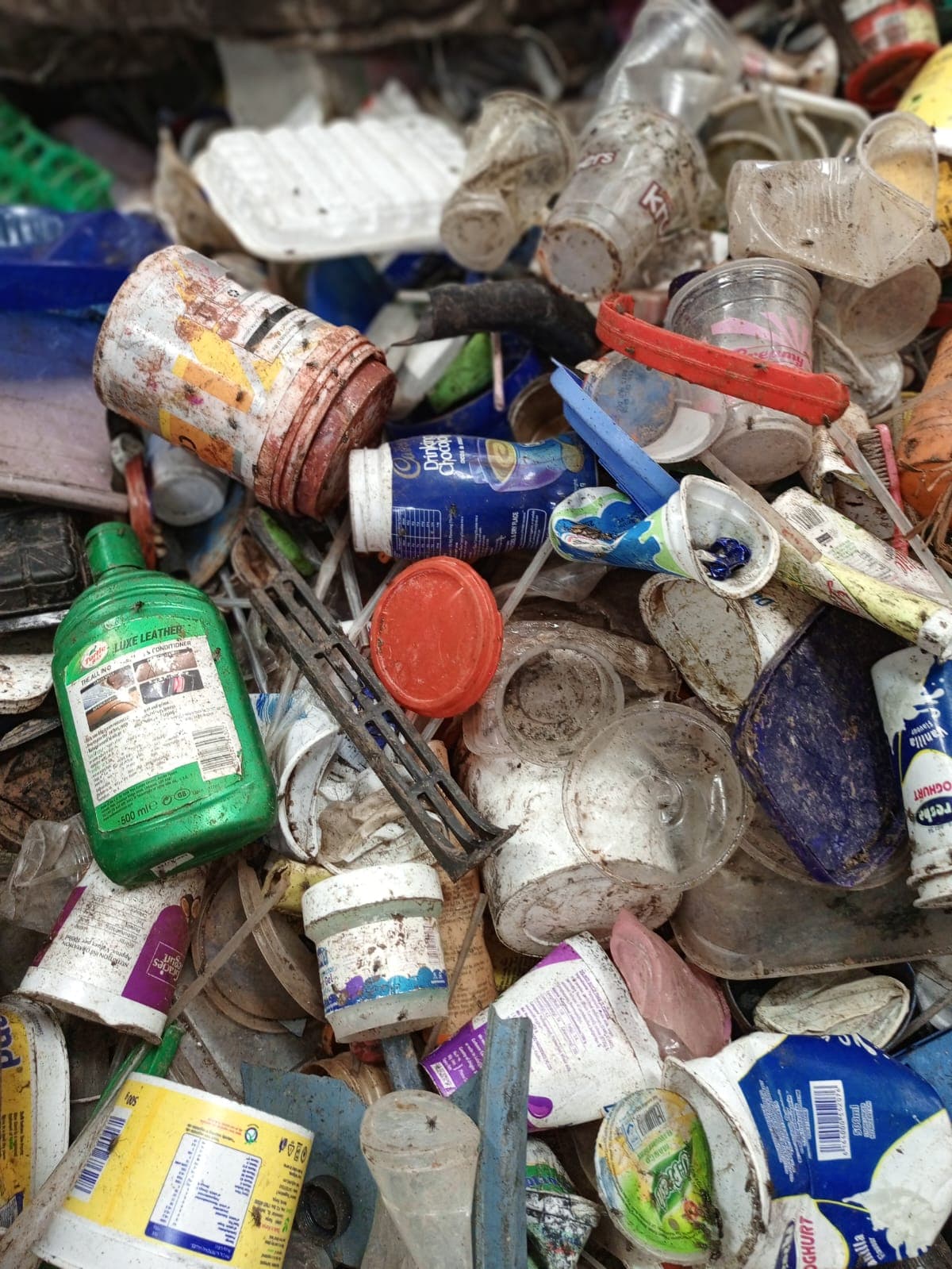 Environmental education workshop