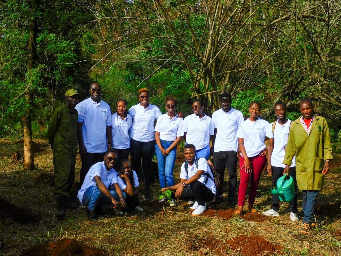 Environmental awareness campaign