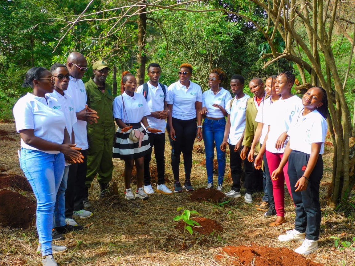 Environmental restoration project