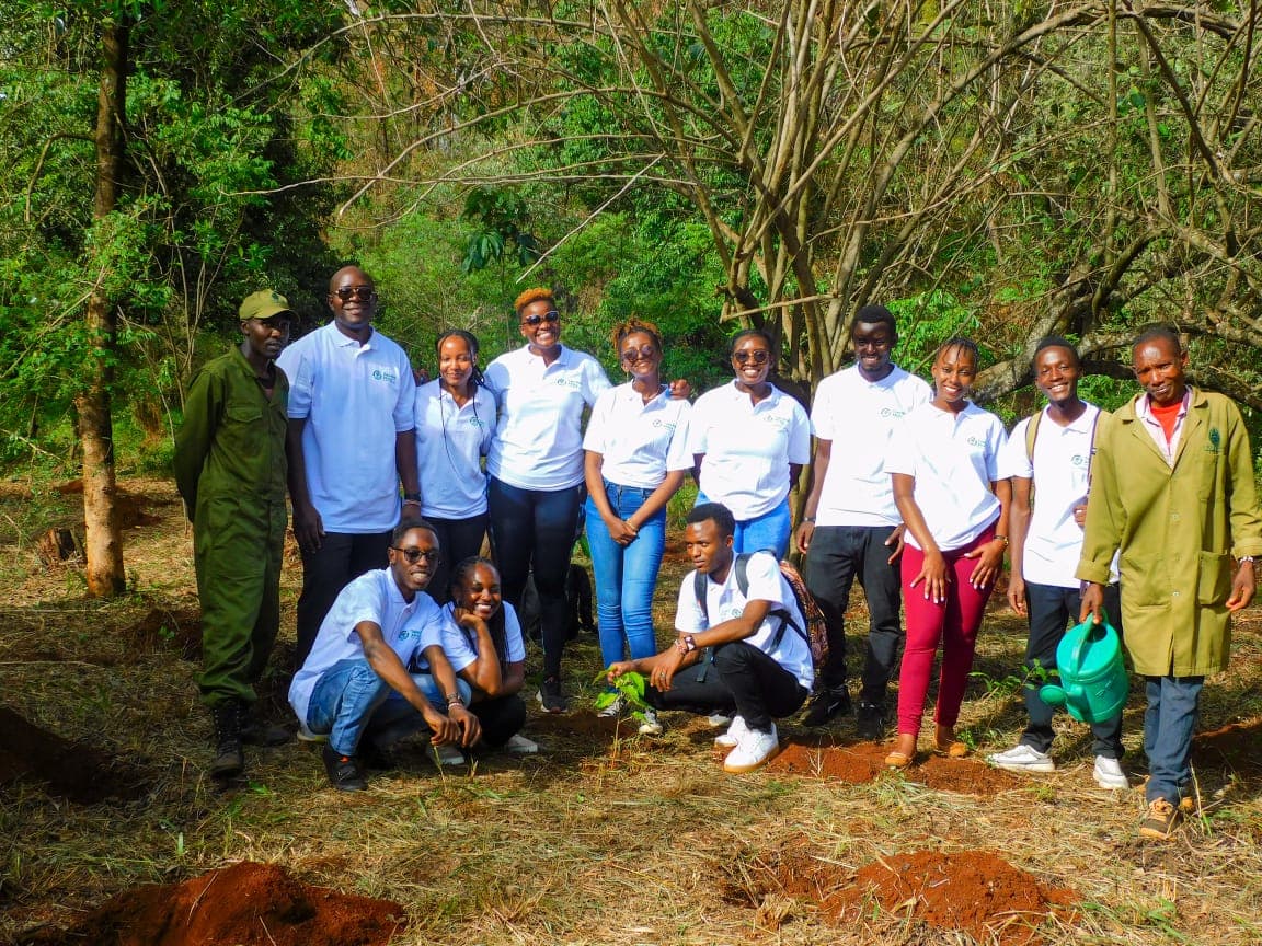 Climate resilience building