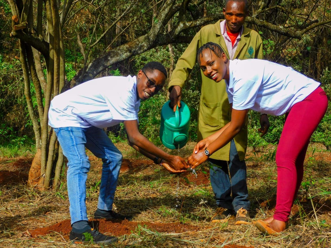 Community forest management