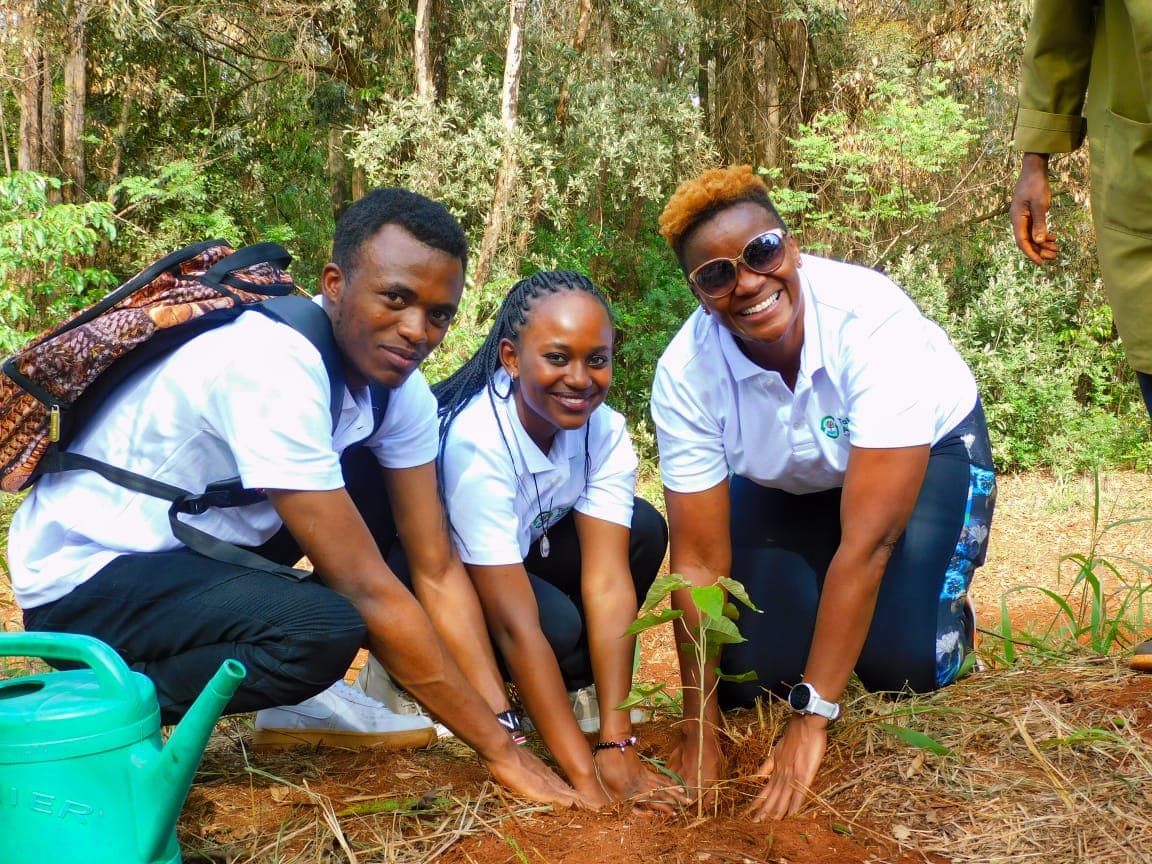Ecosystem restoration work