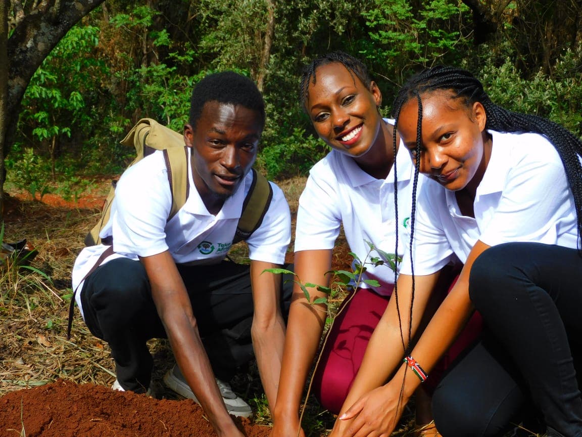 Environmental impact assessment