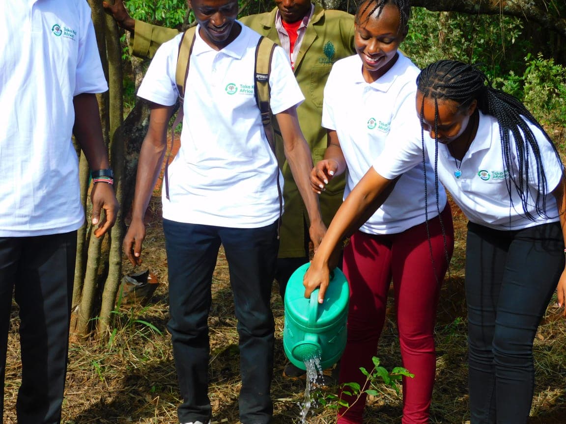 Green entrepreneurship program