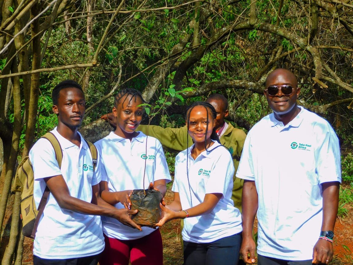 Environmental Stewardship